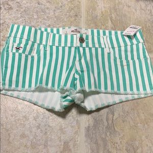 New Hollister Shorts